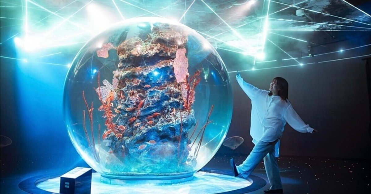 水族館 SUPER SALE【まとめ売り】