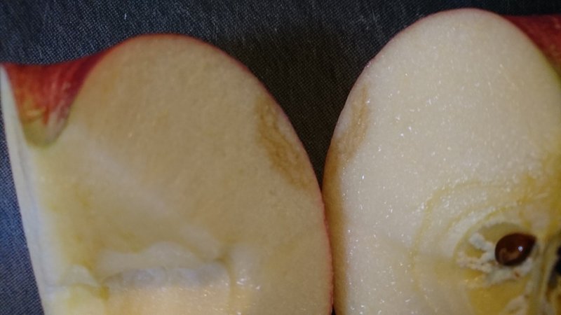 届いたリンゴに問題があったなら 鈴木辰徳 すず辰 主夫な八百屋 Note 届いたリンゴに問題があったなら 鈴木辰徳 すず辰 主夫な八百屋 Note