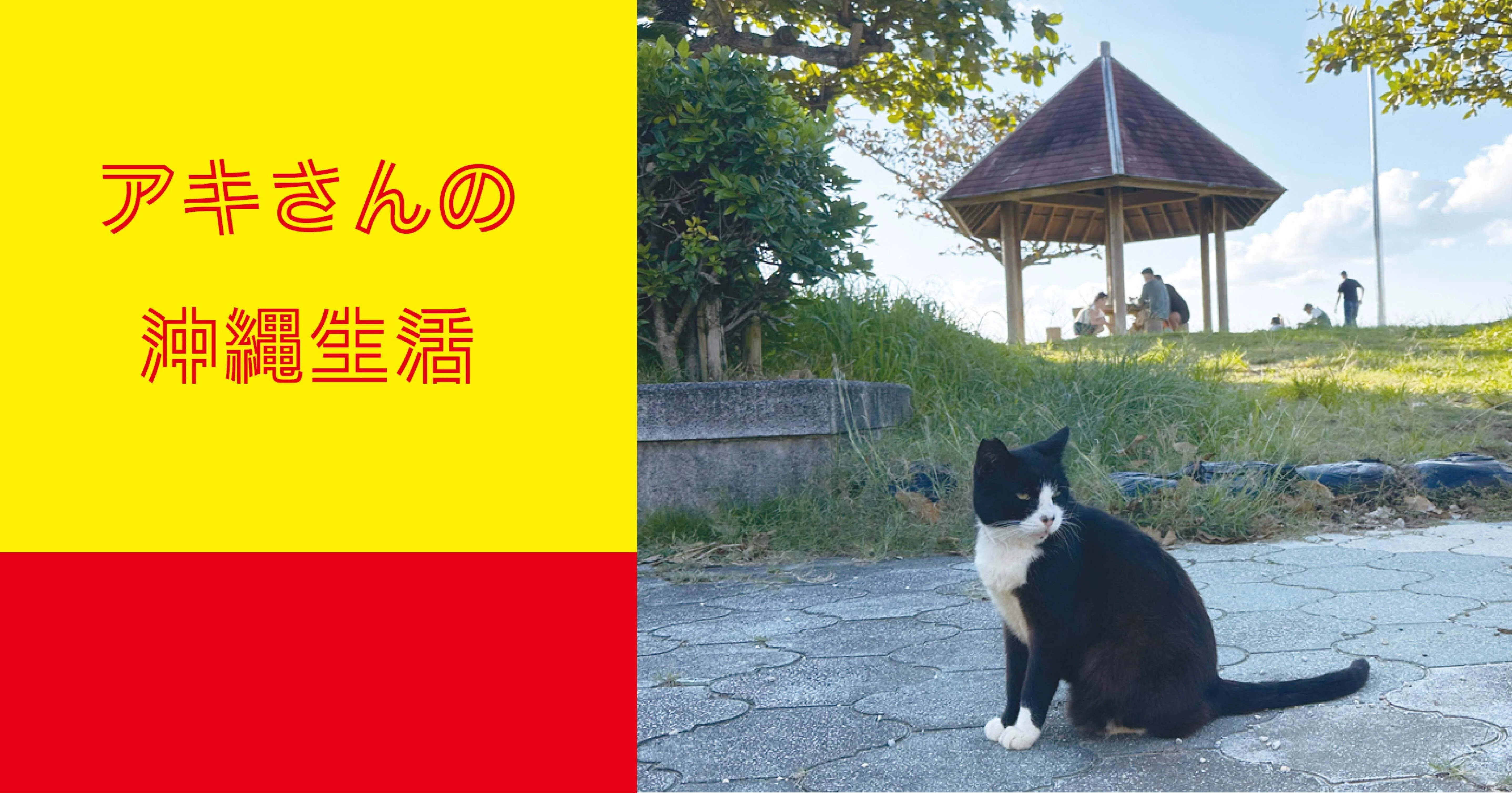 映画「カラオケ行こ ! 」｜tanukichi10