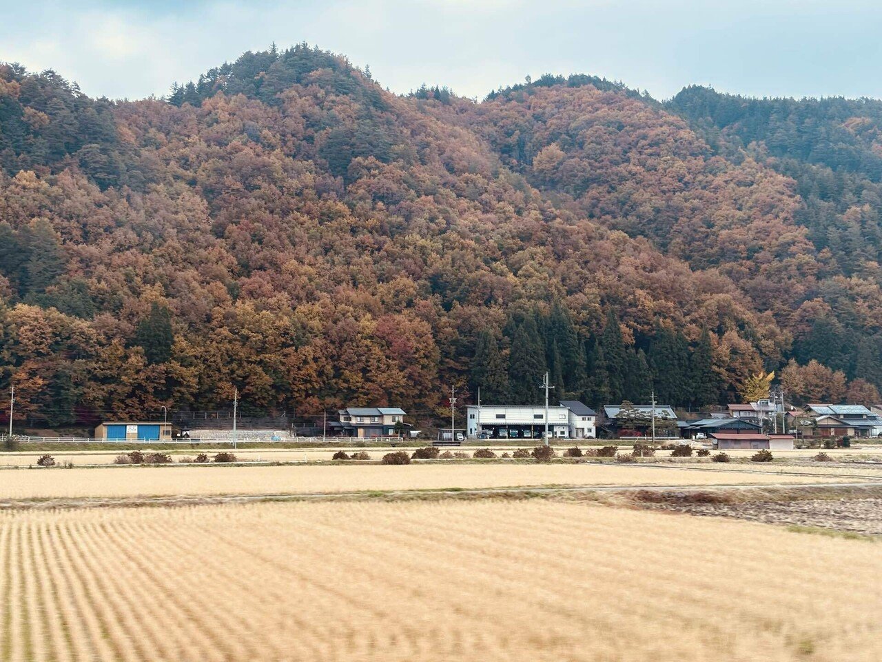 茶箪笥　天然木　説明文必読 DSC_0482.jpg?v=1743415119