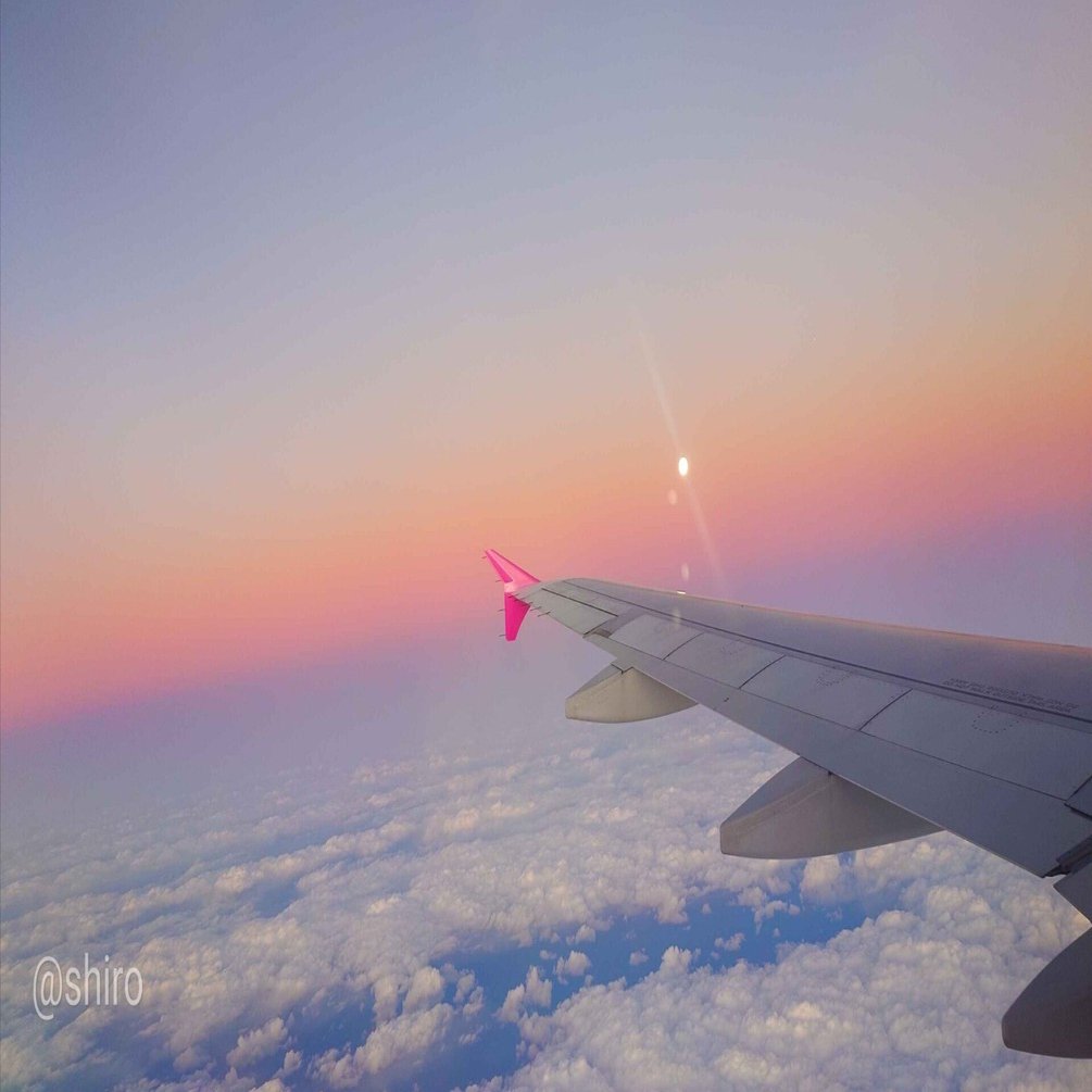 初韓国、ソロ旅遠征｜shiro