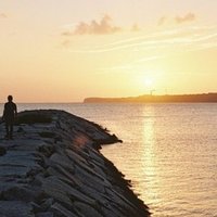 そして いなくなる 僕には世界がふたつある ニール シャスタマン 相地 Note