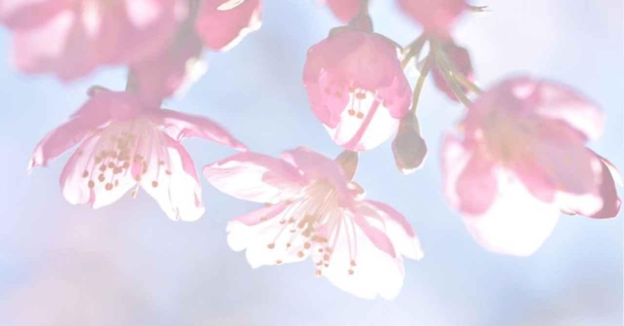 私の「好きなもの100個」~煌めく色彩を重ねていく~|桜小路いをり