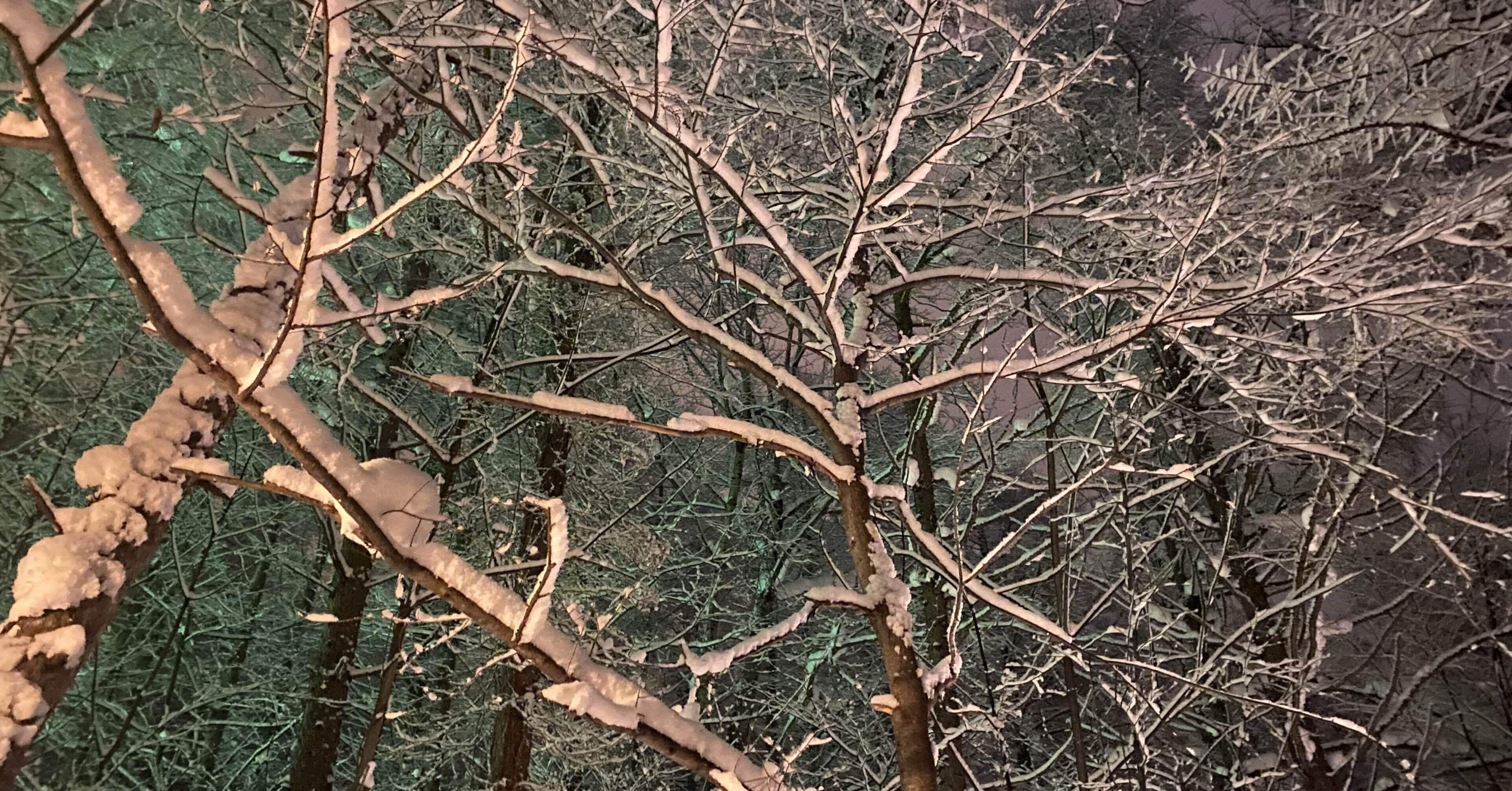 HYDE 黑ミサ2024 in Frano ブログ｜anim