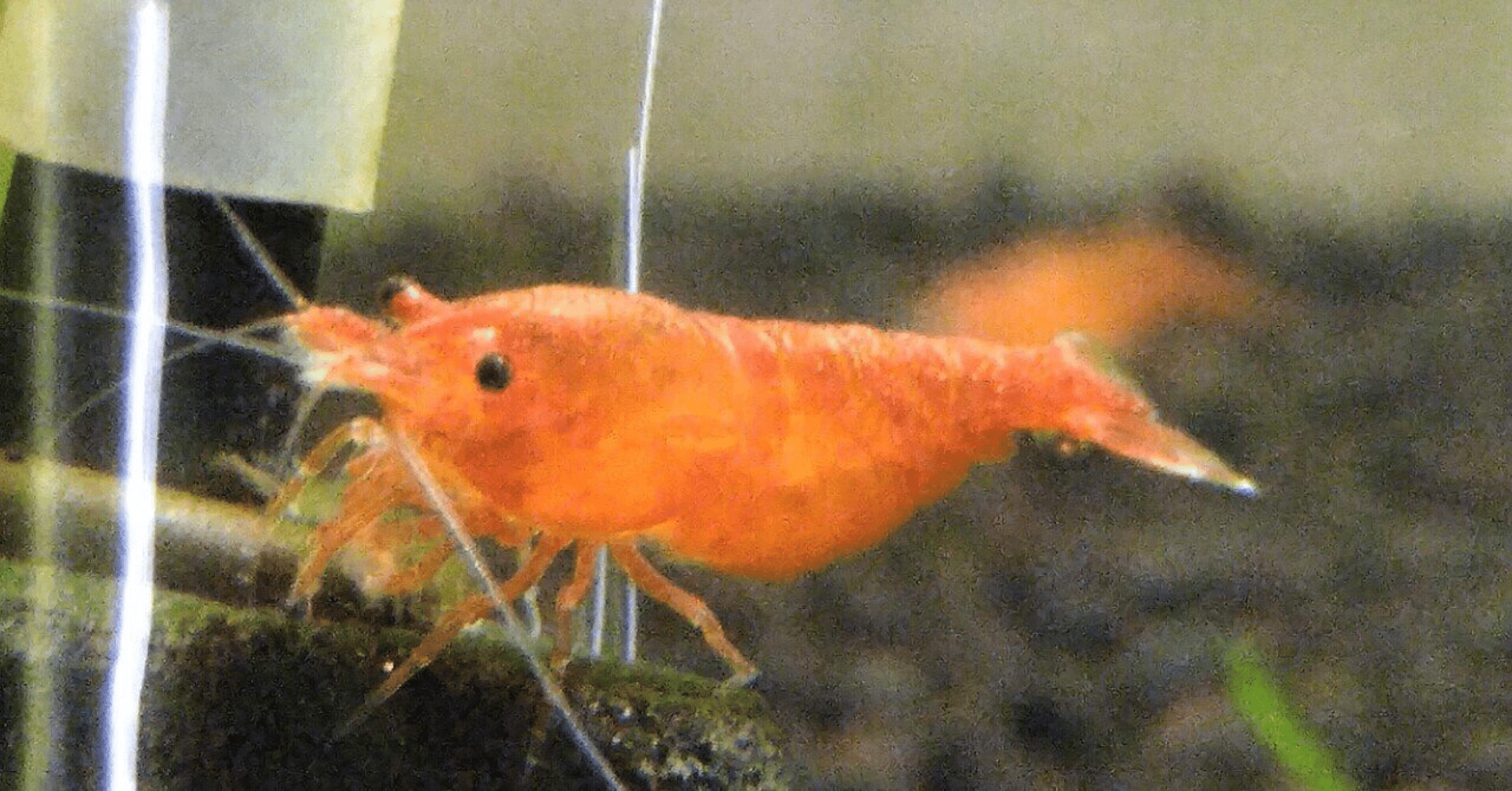 b73f1a344e4bb92b0097d41780614b