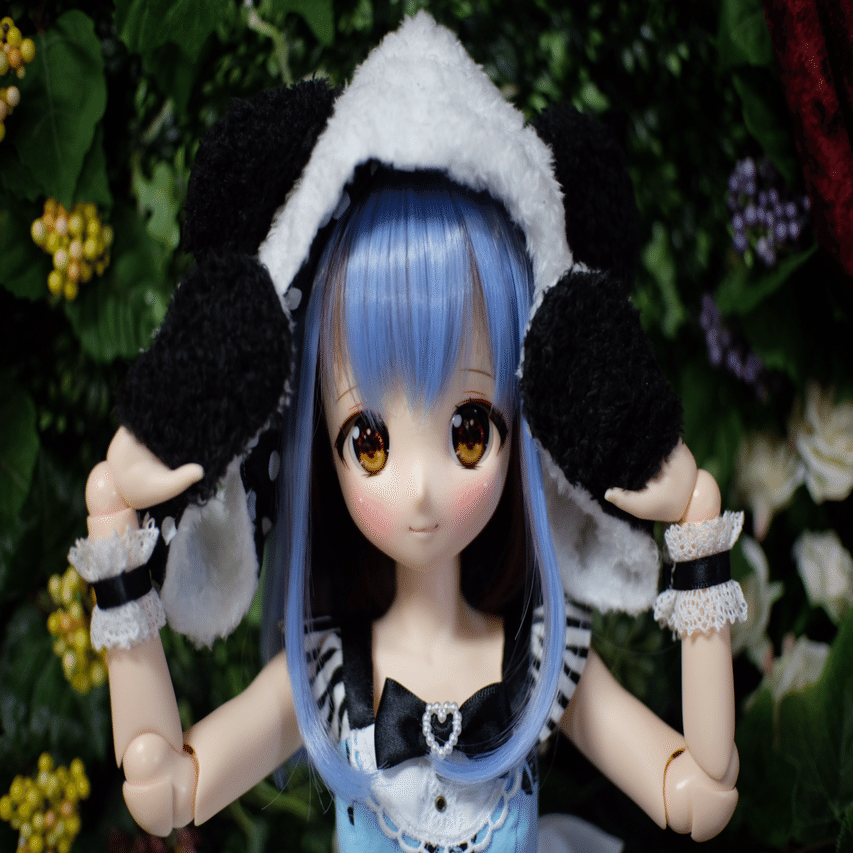 ドールは…お迎えしてうれしい！！からさらに上そしてその上があるっ