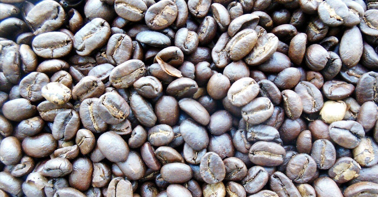 世界で最も高価な幻のコーヒーは衝撃の味だった｜藤井 匠也（ZOO TIME