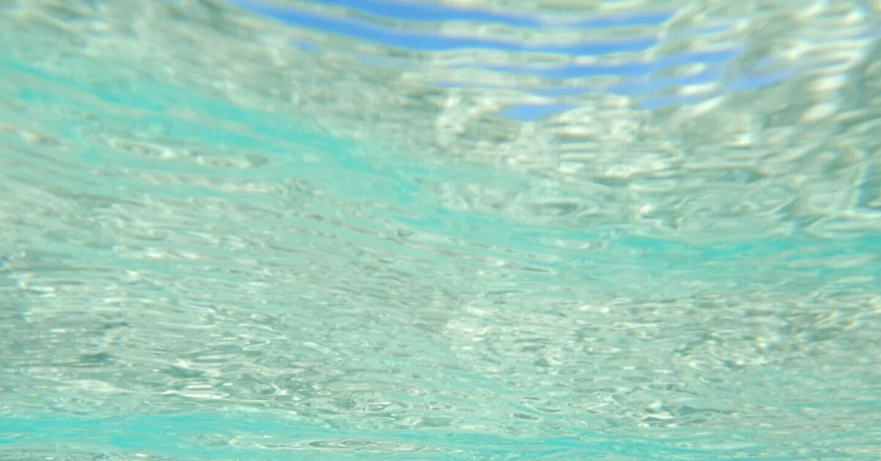 水のなかを行く人々は、【自動記述20241212】｜阿久沢牟礼
