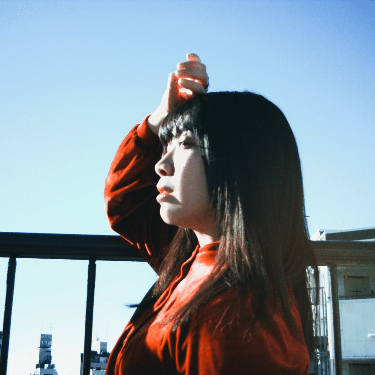 Rolleiflex MiniDigiとChanaちゃん｜かまた