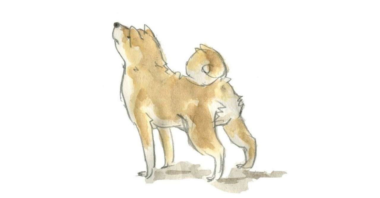 隣の家から犬の鳴き声がずっと聞こえるんだけど こういうときどうしたらいいかわからない みかん農園 ごろごろ の あずさわ Note