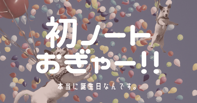 初ノート おぎゃー 本当に誕生日なんです 橋本カレン キャンプ女子株式会社 Note