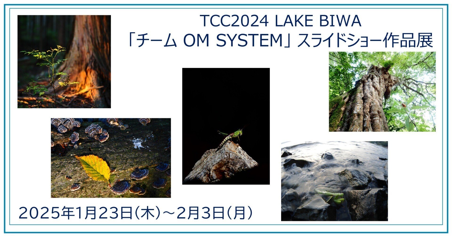 TCC2024 LAKE BIWA「チーム OM SYSTEM」スライドショー作品展 TCC2024 LAKE BIWA「チーム OM SYSTEM」スライドショー作品展