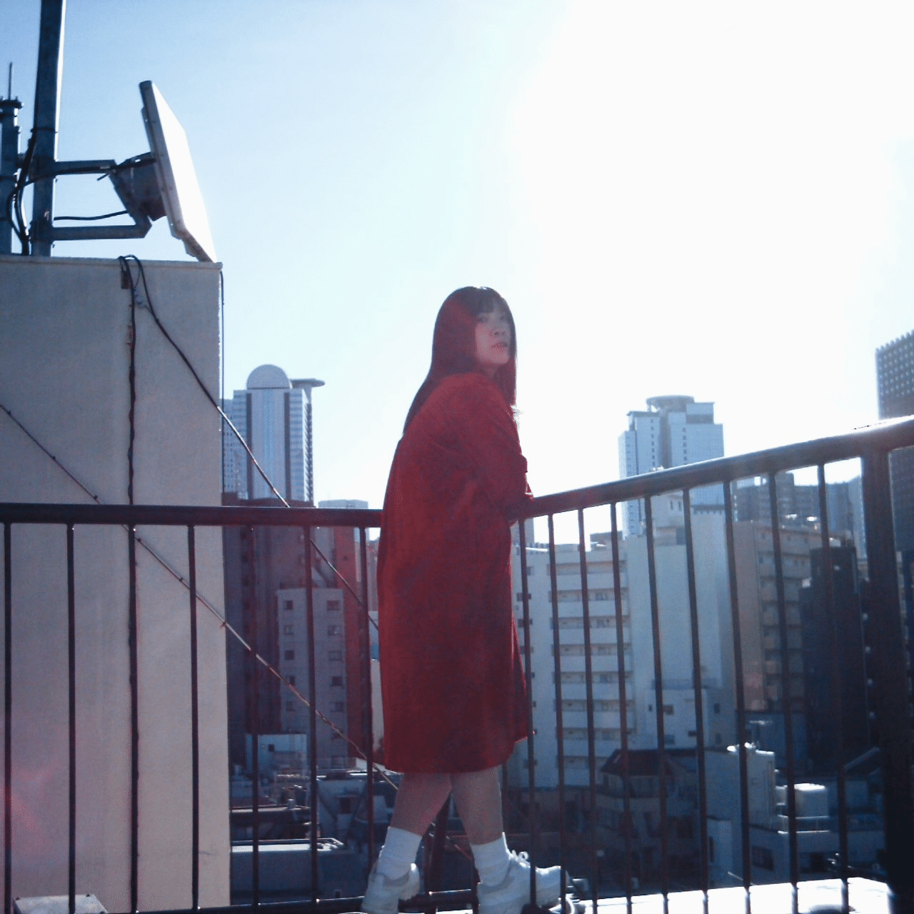 Rolleiflex MiniDigiとChanaちゃん｜かまた