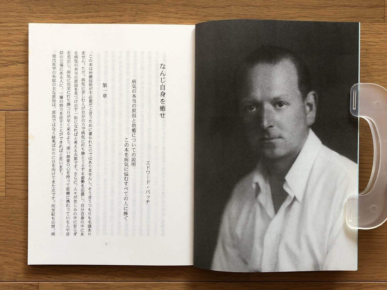 バッチフラワーレメディー　全種類　バッチ博士の本のおまけ バッチフラワーレメディー 全種類 バッチ博士の本のおまけ