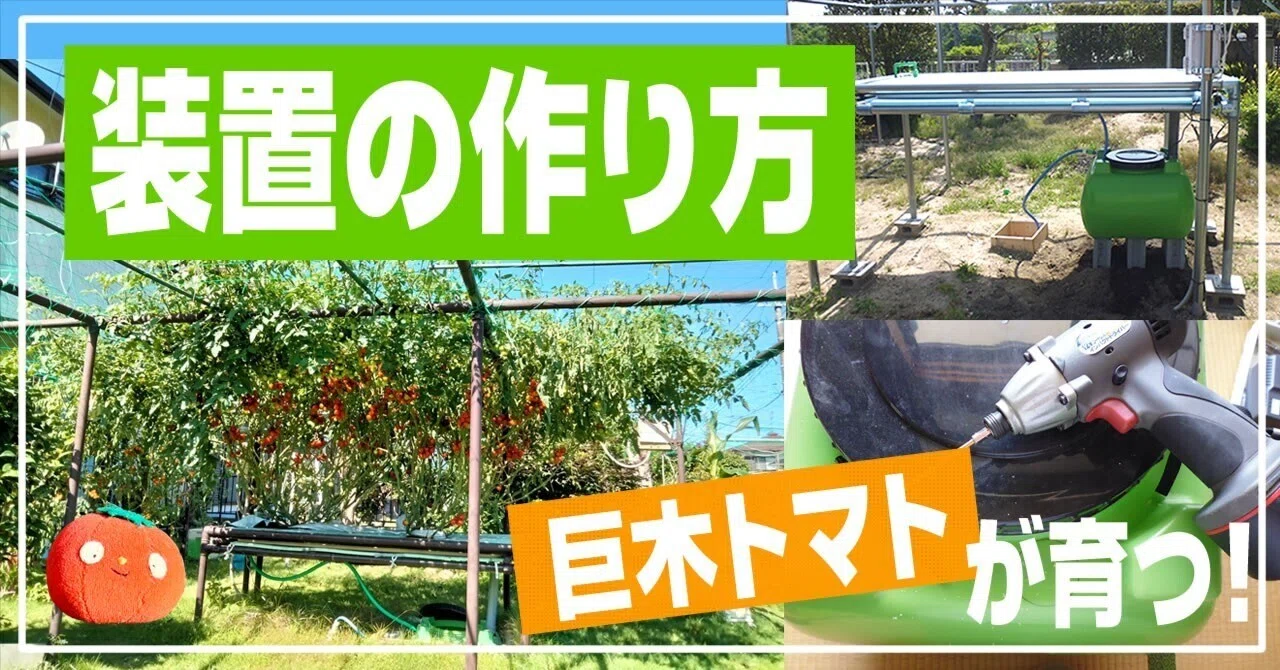 水耕栽培】巨木トマト装置の作り方！（お家で育てる・自作水耕で挑戦