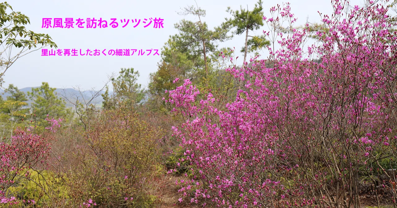 98．里山を再生したおくの細道アルプス｜sasayan