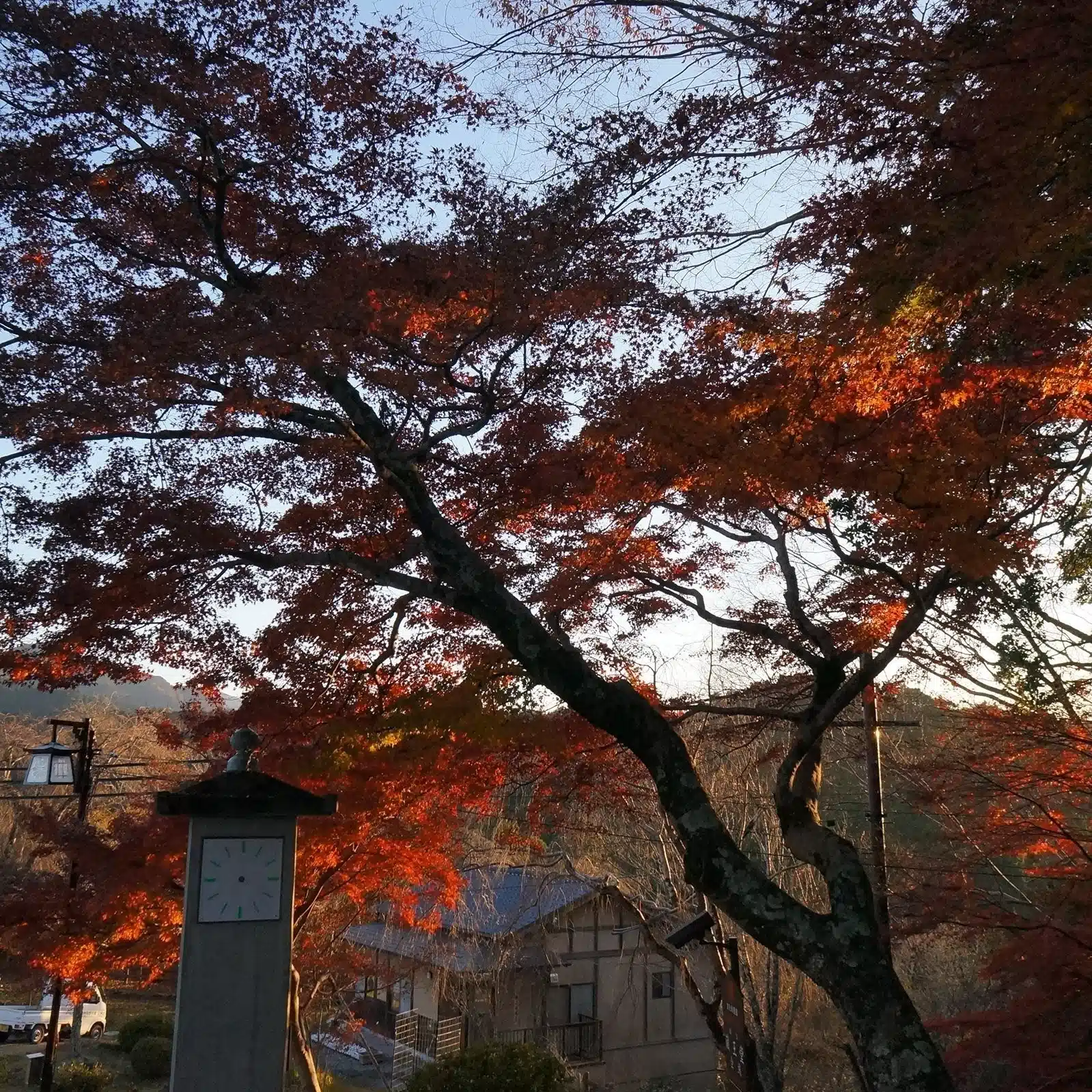 ゆたさん