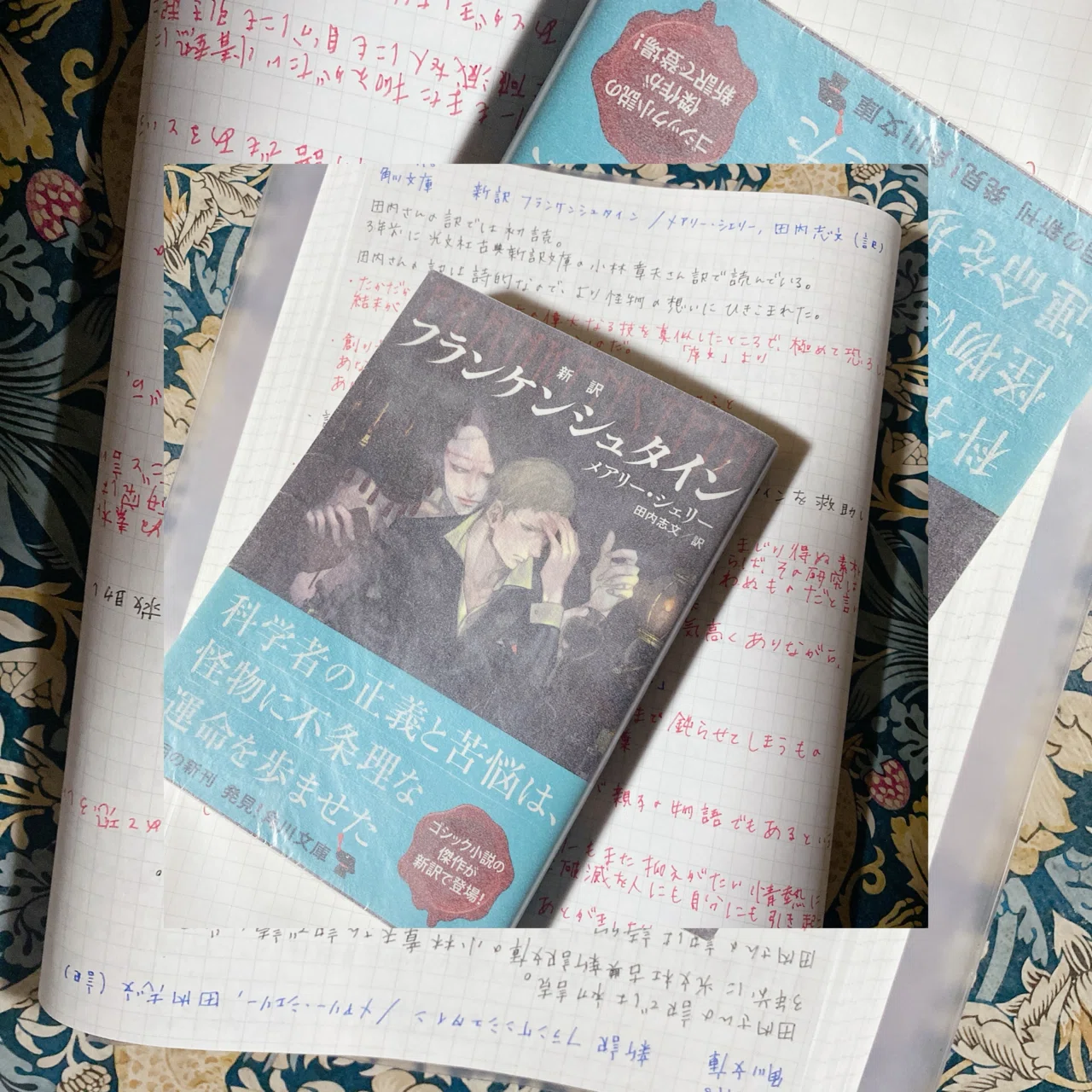 フランケンシュタイン/メアリー・シェリー、田内志文(訳)｜菜穂ーなおー