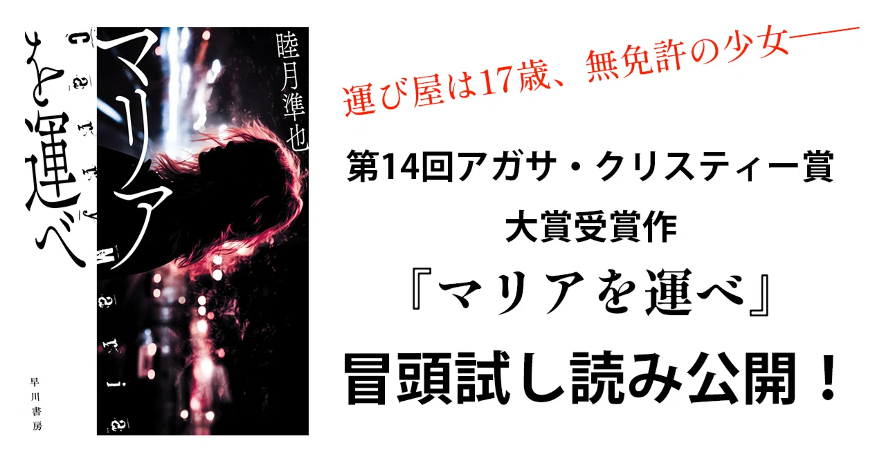 mooncho様 絡ませる リクエスト 17点 おまとめ商品