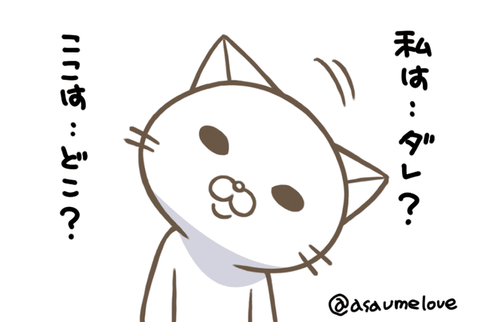 絵を描く前の資料探しで一日が終わる あさ Note 絵を描く前の資料探しで一日が終わる あさ Note