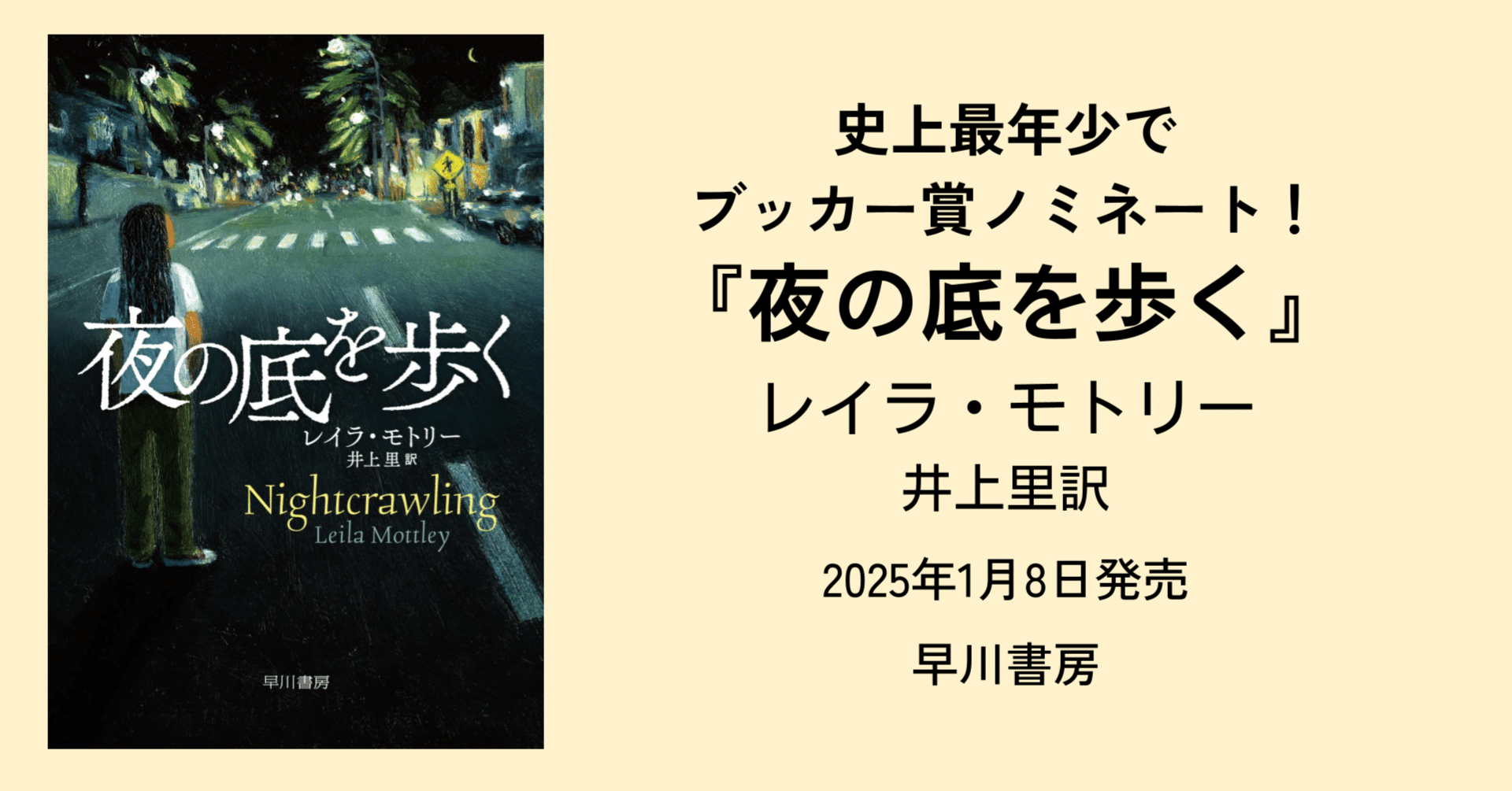魔法をわすれたウィプララ　国際児童文学賞全集17 A•シュミット原作　あかね書房 あかね書房/少年少女世界推理文学全集