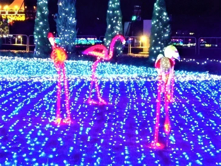 画像7
