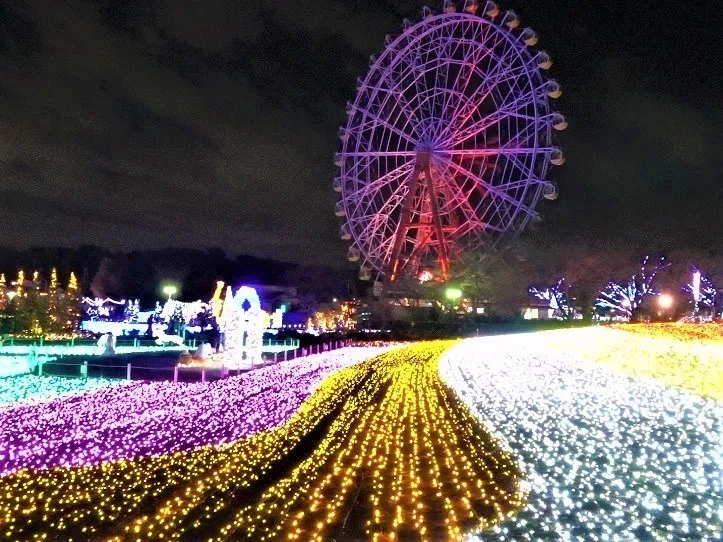 画像11