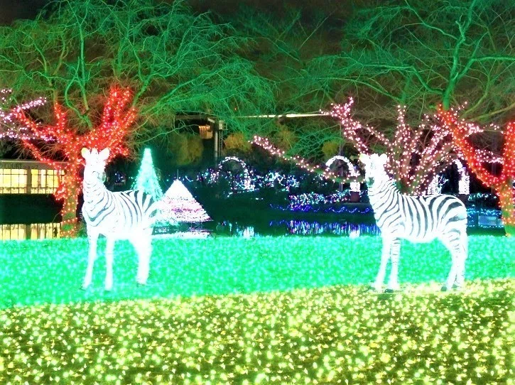 画像12