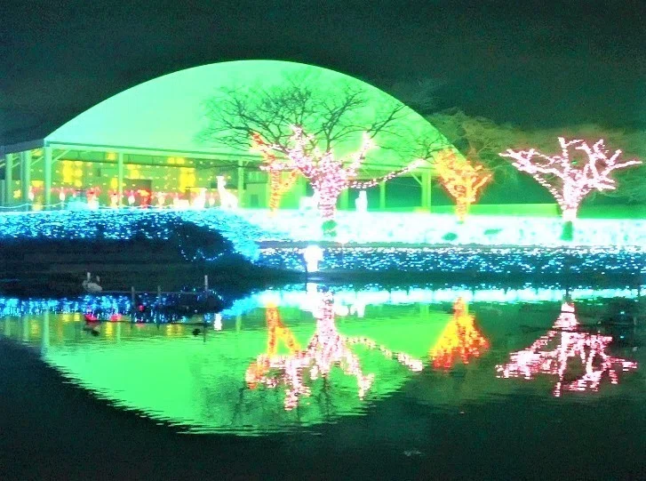 画像17