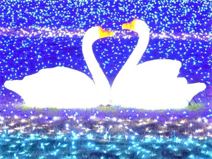 画像15