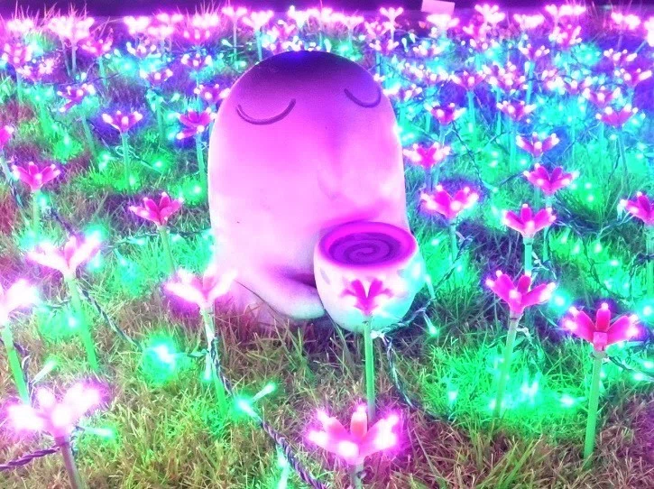 画像14