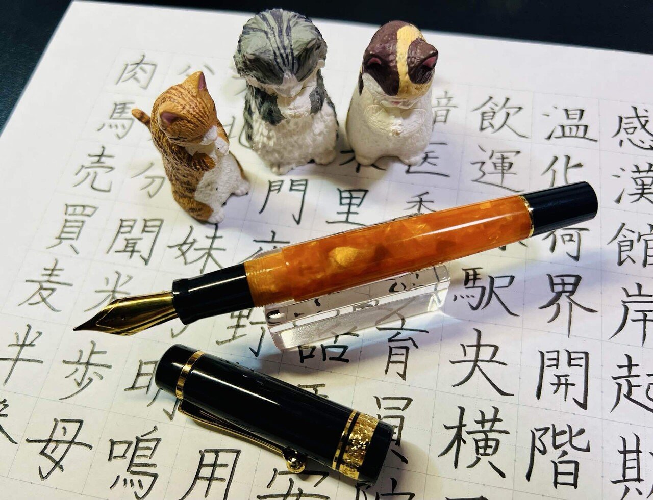 FPR(万年筆革命)🇺🇸のTANOSIIと筆ペンで美文字特訓٩(๑❛ᴗ