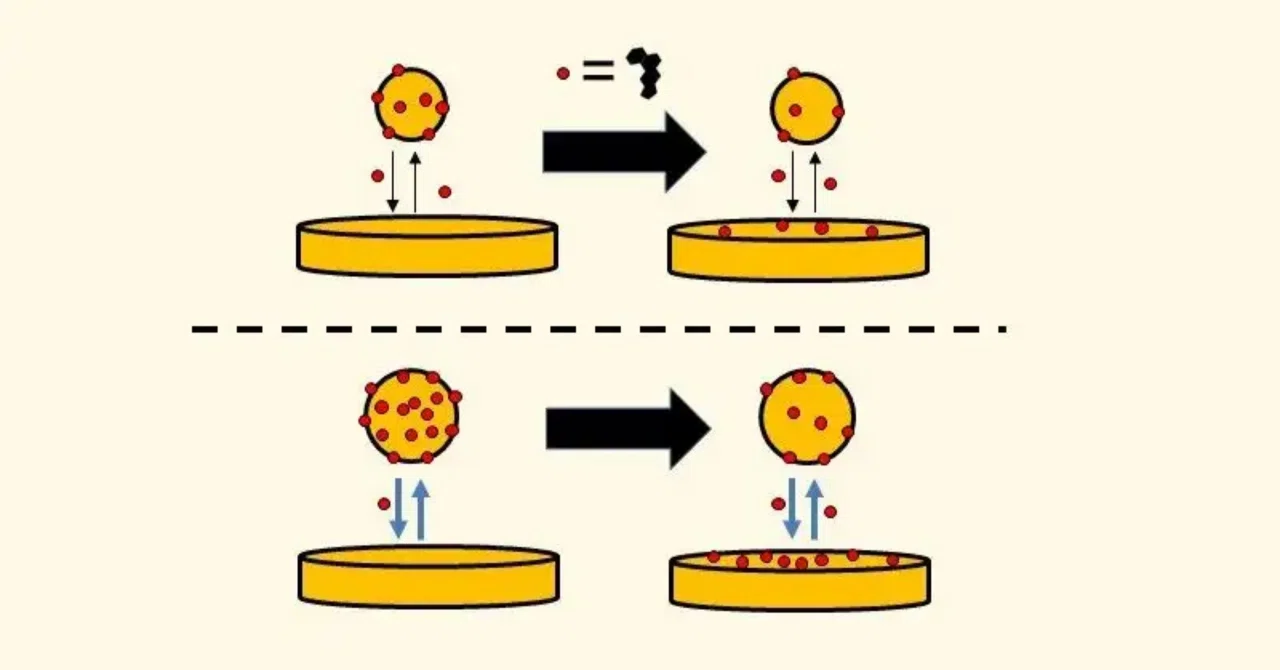 最新｜驚くべき発見により善玉コレステロールが有害になる時期が特定される