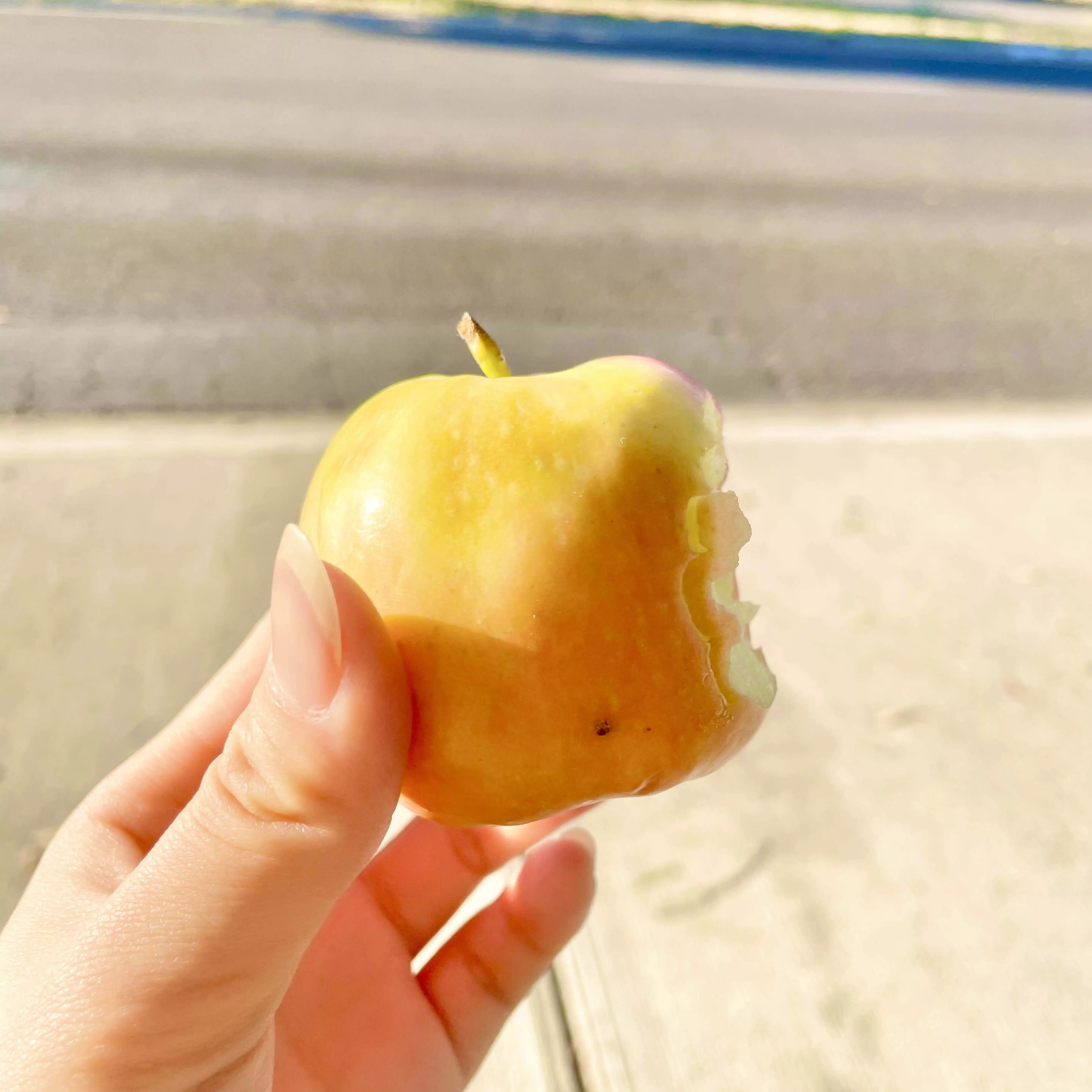 りんこ