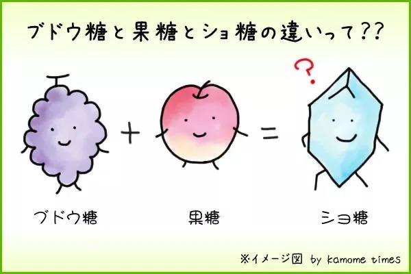 砂糖とブドウ糖の違い｜よっしー