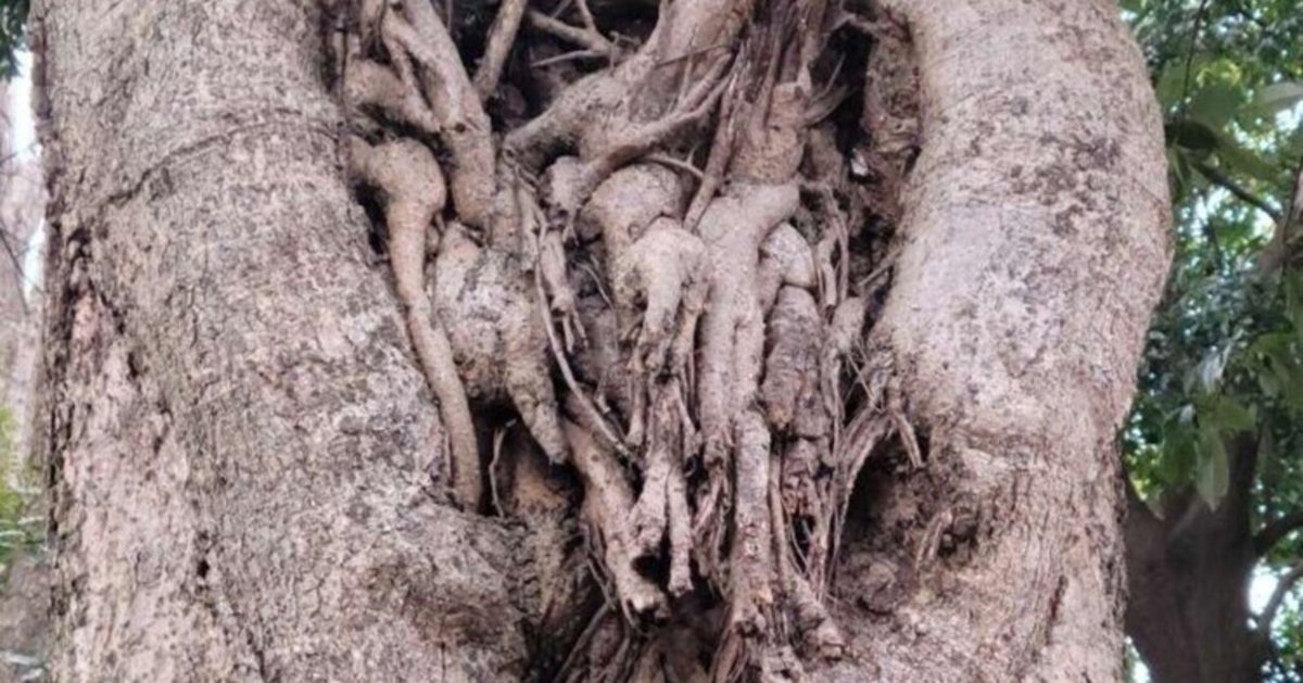 オールド品 コムデギャルソン 目の錯覚デザイン クロップド丈パンツ 再構築 オールド品 コムデギャルソン 目の錯覚デザイン クロップド丈パンツ 再