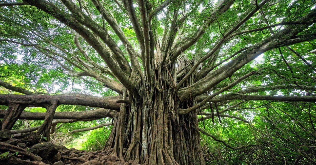 必要なのは「地に足の着いた」企業のイノベーション推進戦略である|宇田川元一|note