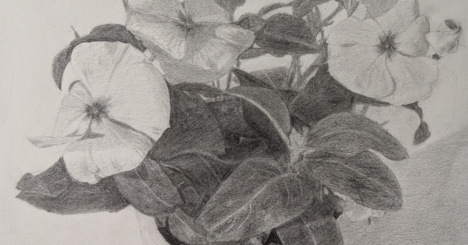 デッサン35回目（花の鉢20回目）｜えのべん