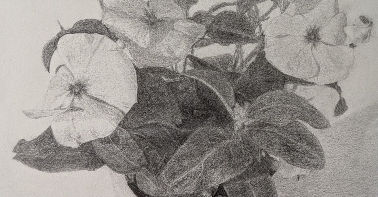 デッサン35回目（花の鉢20回目）｜えのべん