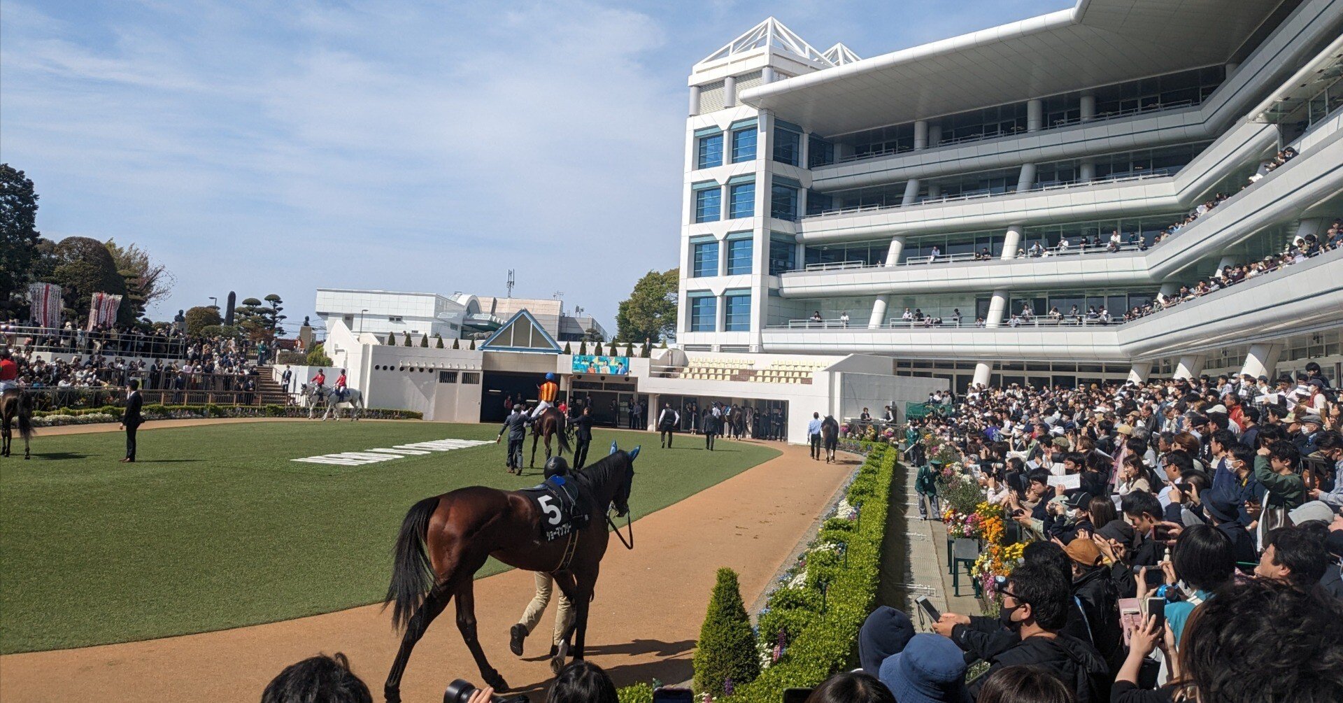 穴党必見】素人競馬のつぶやき～有馬記念（G1）最終結論～｜つとむ