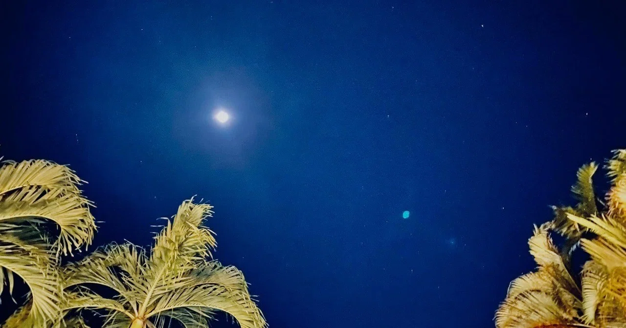 Look up at the sky tonight. Our rocket launch was a success.｜平野友康 ...