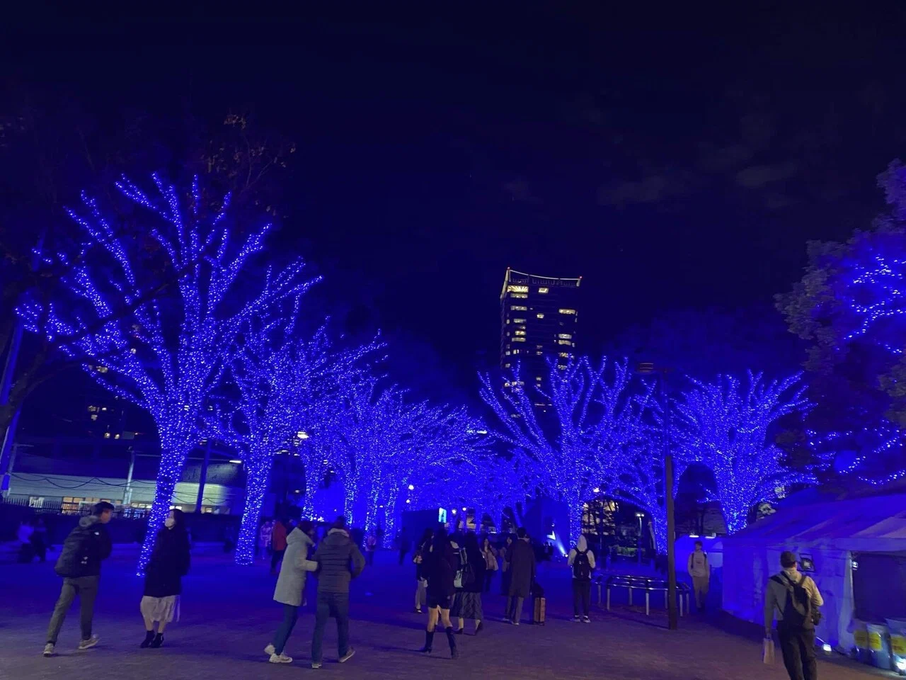 2024クリスマスその21】青の洞窟｜ちょっちょ