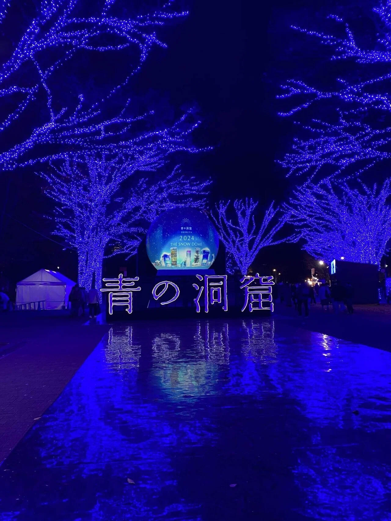 2024クリスマスその21】青の洞窟｜ちょっちょ
