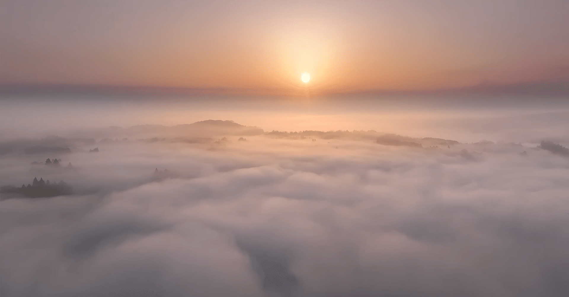 ヤマトノミカタ#40「春の夜明け」｜保山耕一