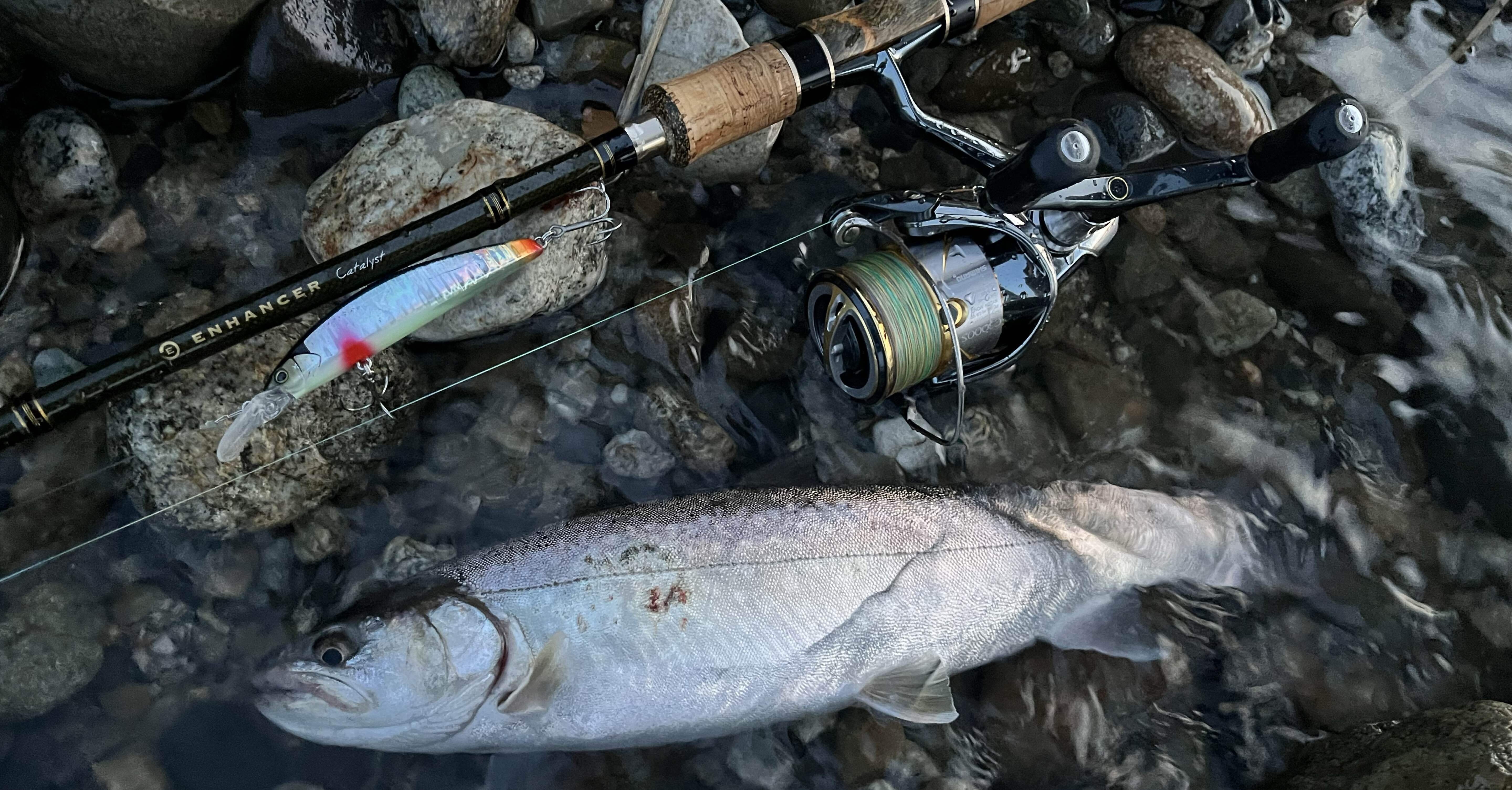 2024年新潟サクラマス釣り8日目【荒川】｜田沢寛