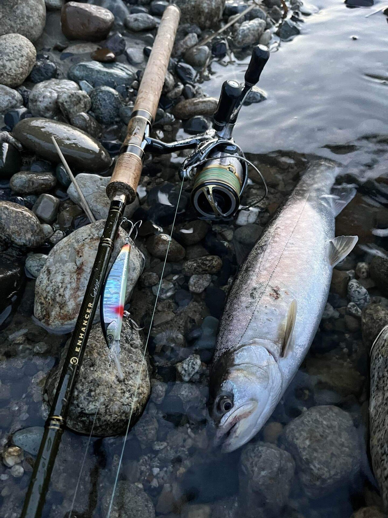2024年新潟サクラマス釣り8日目【荒川】｜田沢寛