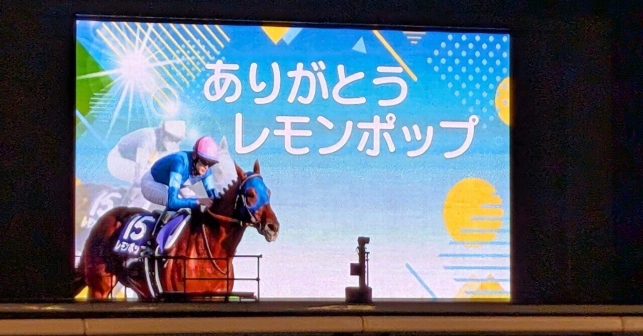 会いたい人に会いに行こう。｜砂原