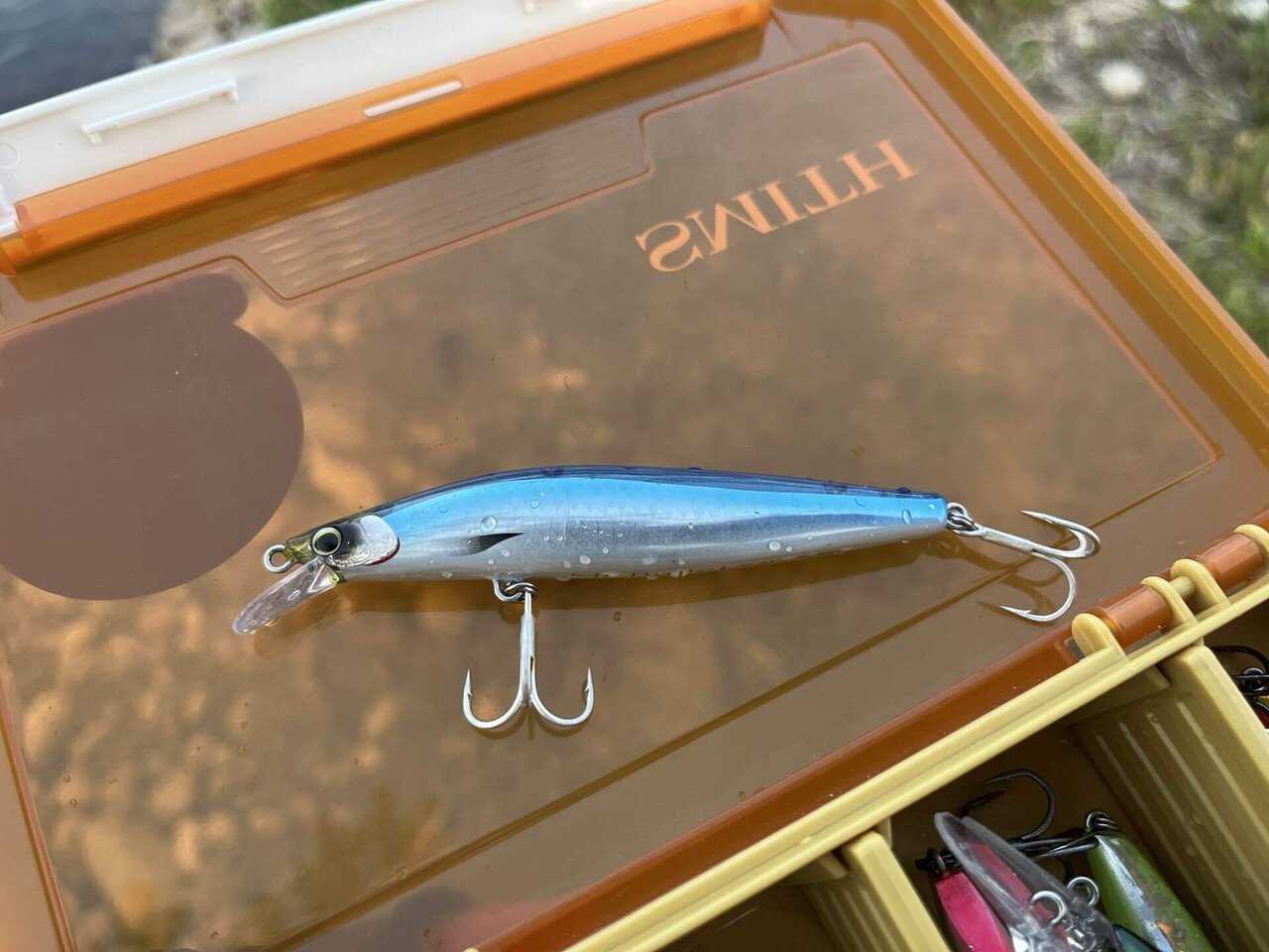 2024年新潟サクラマス釣り15日目【三面川】｜田沢寛