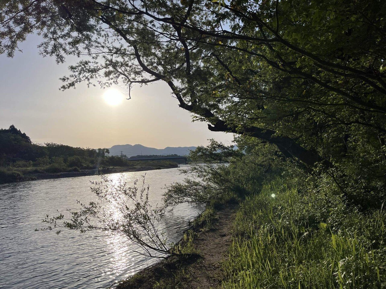 2024年新潟サクラマス釣り15日目【三面川】｜田沢寛