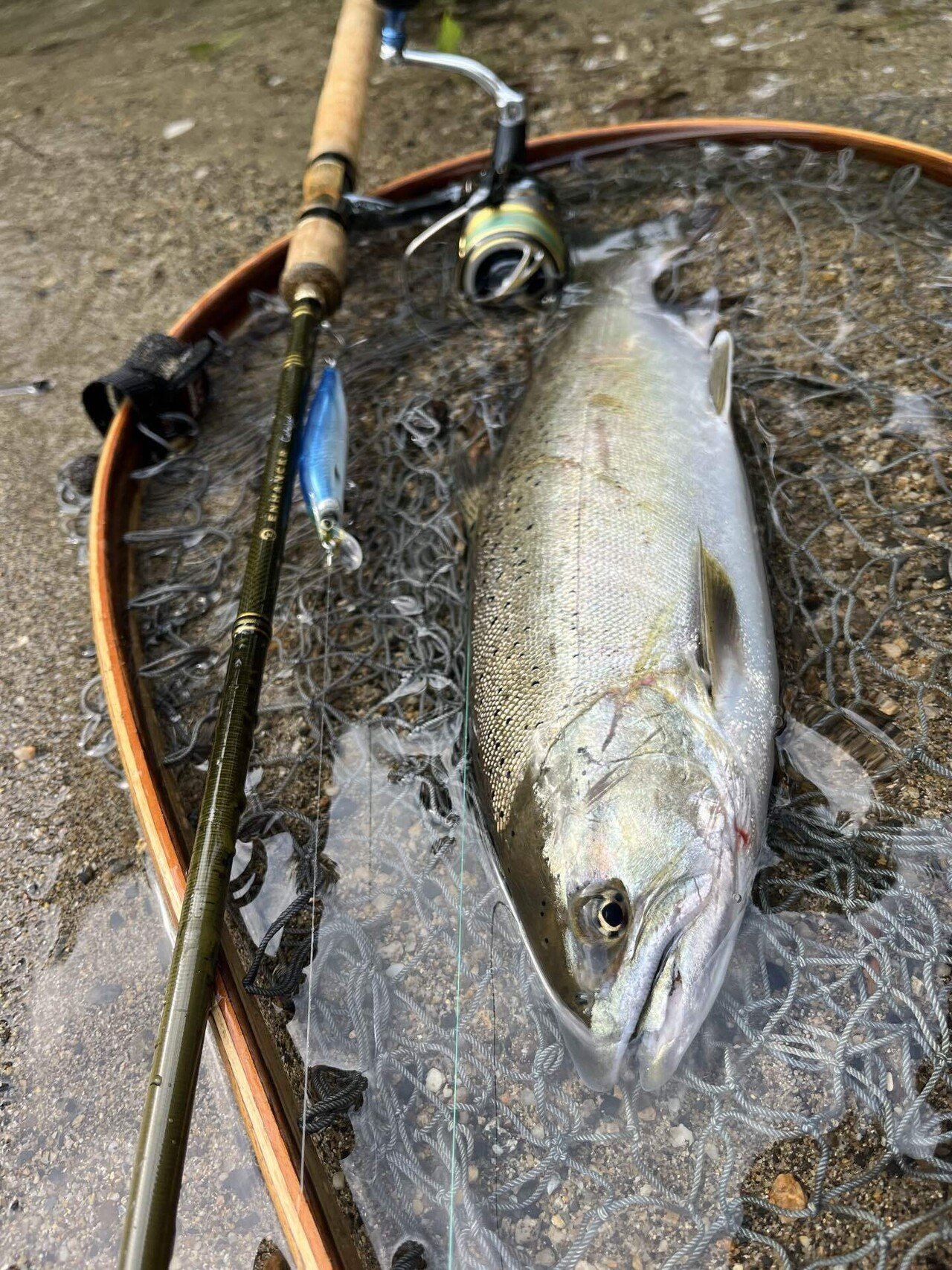 サクラマス釣り引退セット② サクラマス釣り北海道 (North Angler's COLLECTION) | つり人社北海道